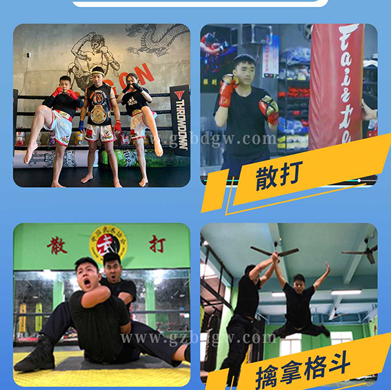 司法详情_10.jpg